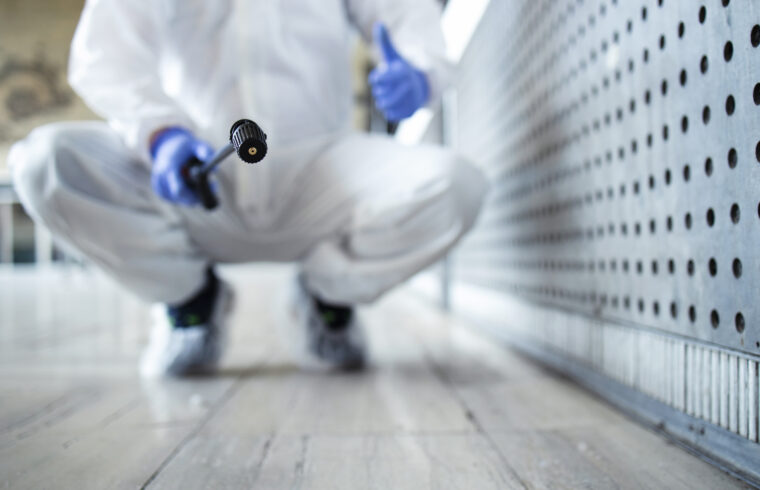 унищожаване на дървеници